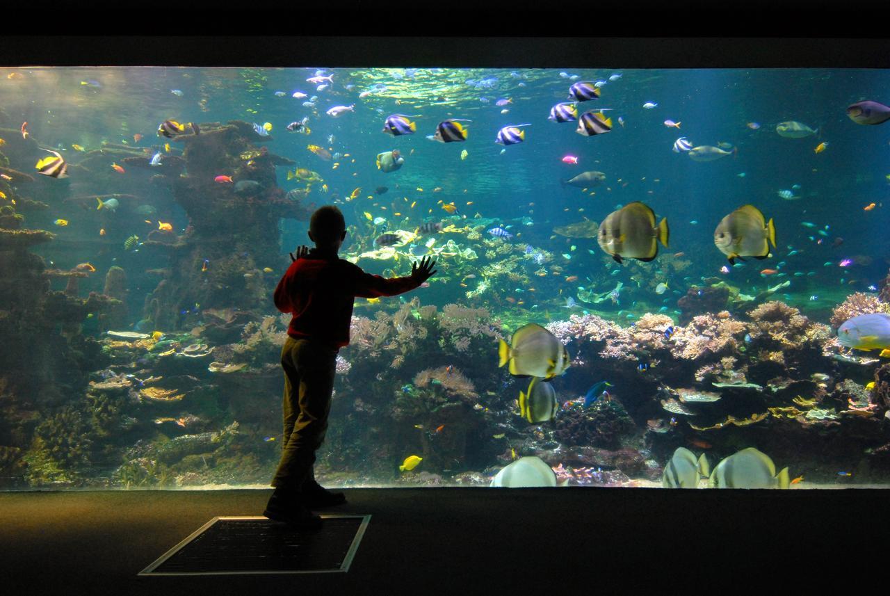 Les Toiles De Mer วีเมอเรอ ภายนอก รูปภาพ